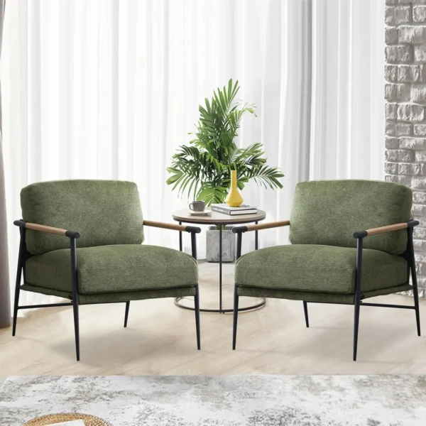 Accent Armchair Lounge Chair